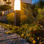 Copy of Crush Random