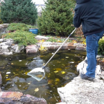 Untitled design (43)